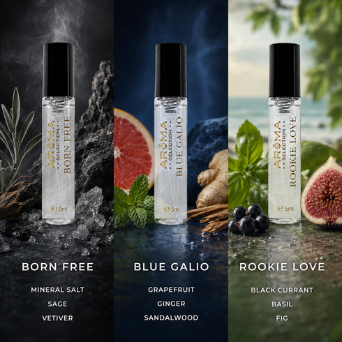 AROMA Best selling fragrance kit